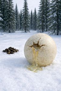 Kuckuck, Kuckuck, ruft's aus dem All (Illustration)